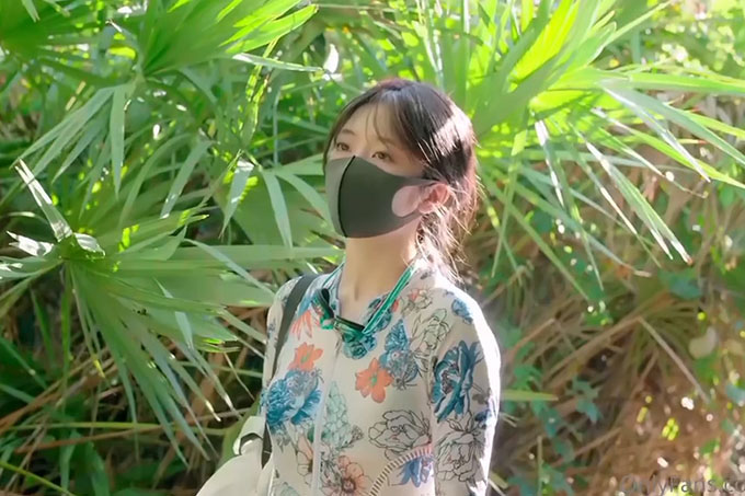 冲浪少女的碎碎念
